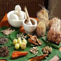 Ayurvedic Raw Material